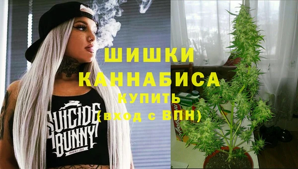 spice Алзамай