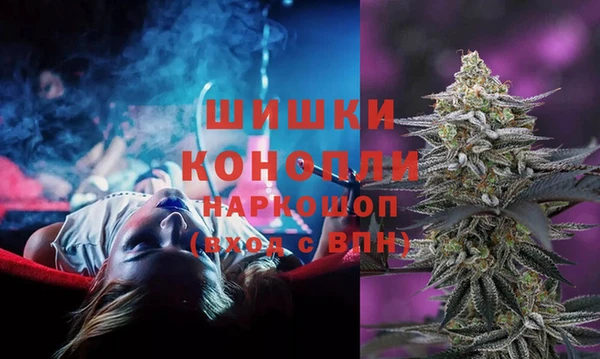 spice Алзамай