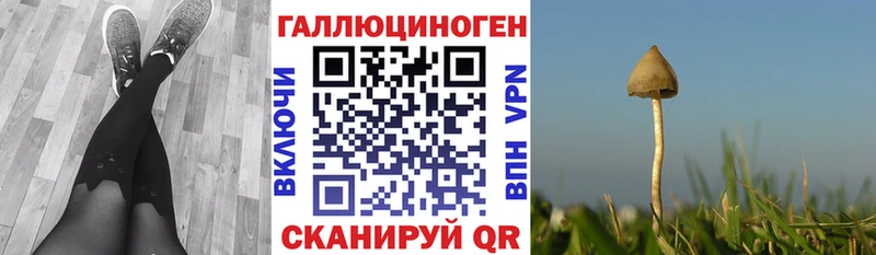 Галлюциногенные грибы MAGIC MUSHROOMS  наркошоп  Петрозаводск 