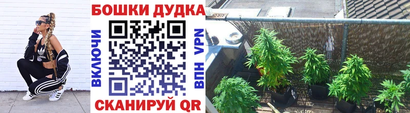 кракен сайт Петрозаводск МАРИХУАНА Bruce Banner купить закладку